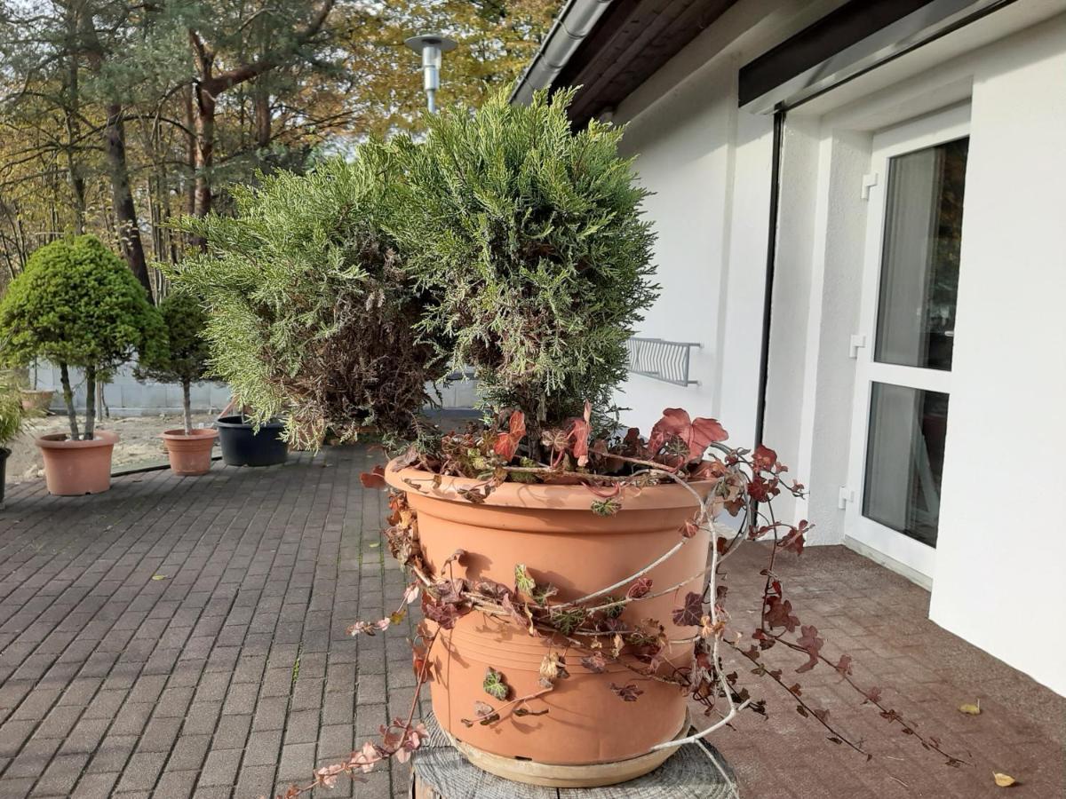 Landlust! Hotel Hoyerswerda Exterior photo